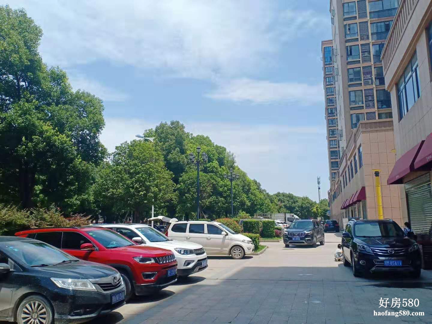 100640029552.jpg