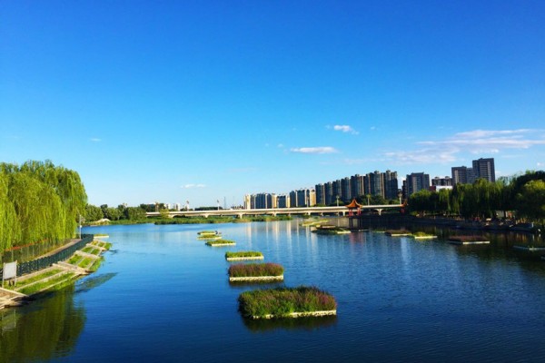 实景图