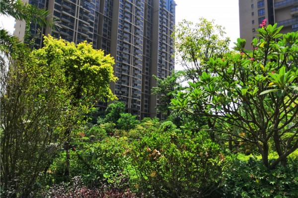 三远大爱城实景图