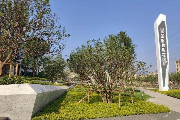 实景图