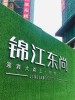 罗飞