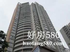 圆龙园