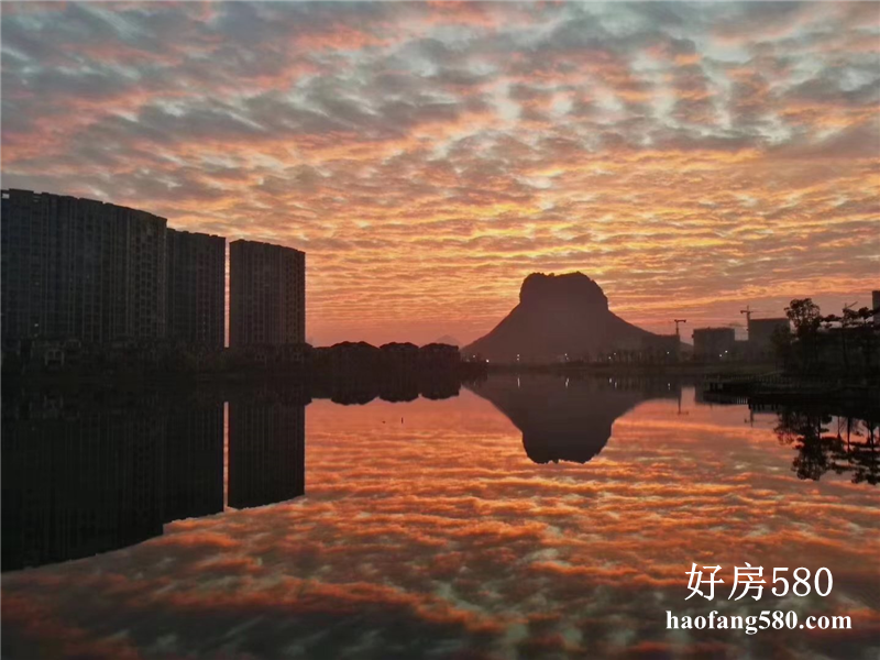 微信图片_20200421103616.png