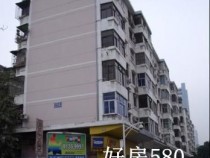 通新岭二手房房价 3室 2厅 1卫