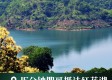 绿肺红花湖