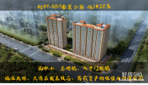 惠州大亚湾龙光城新房价