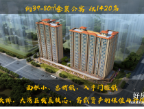 惠州大亚湾龙光城二手房价格