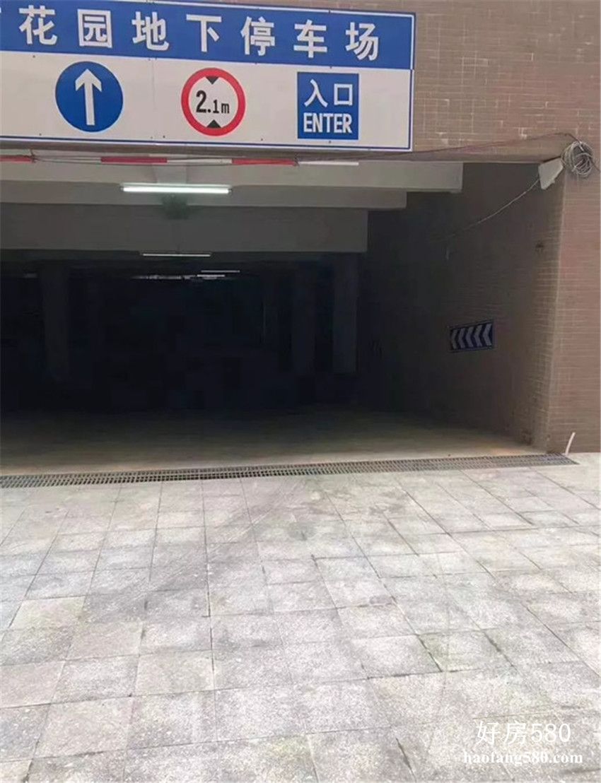 12.jpg