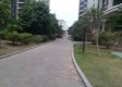 小区实景图