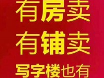 大亚湾西区比亚迪周边二手房伴山园笋盘