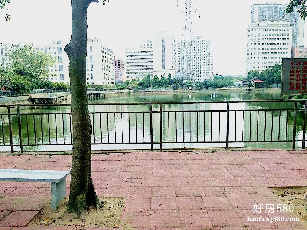 04.jpg