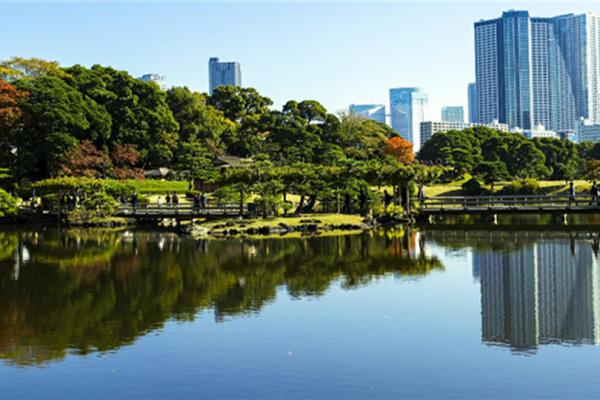 实景图