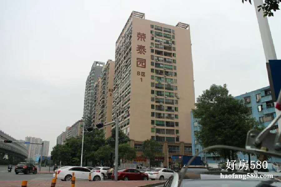 100.jpg
