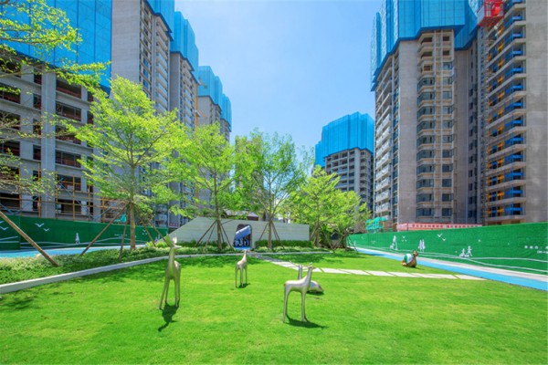 实景图