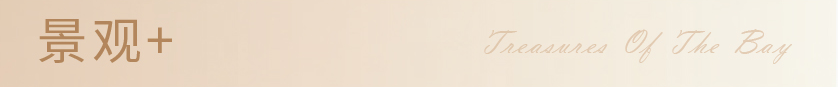 微信图片_20201117165543.png